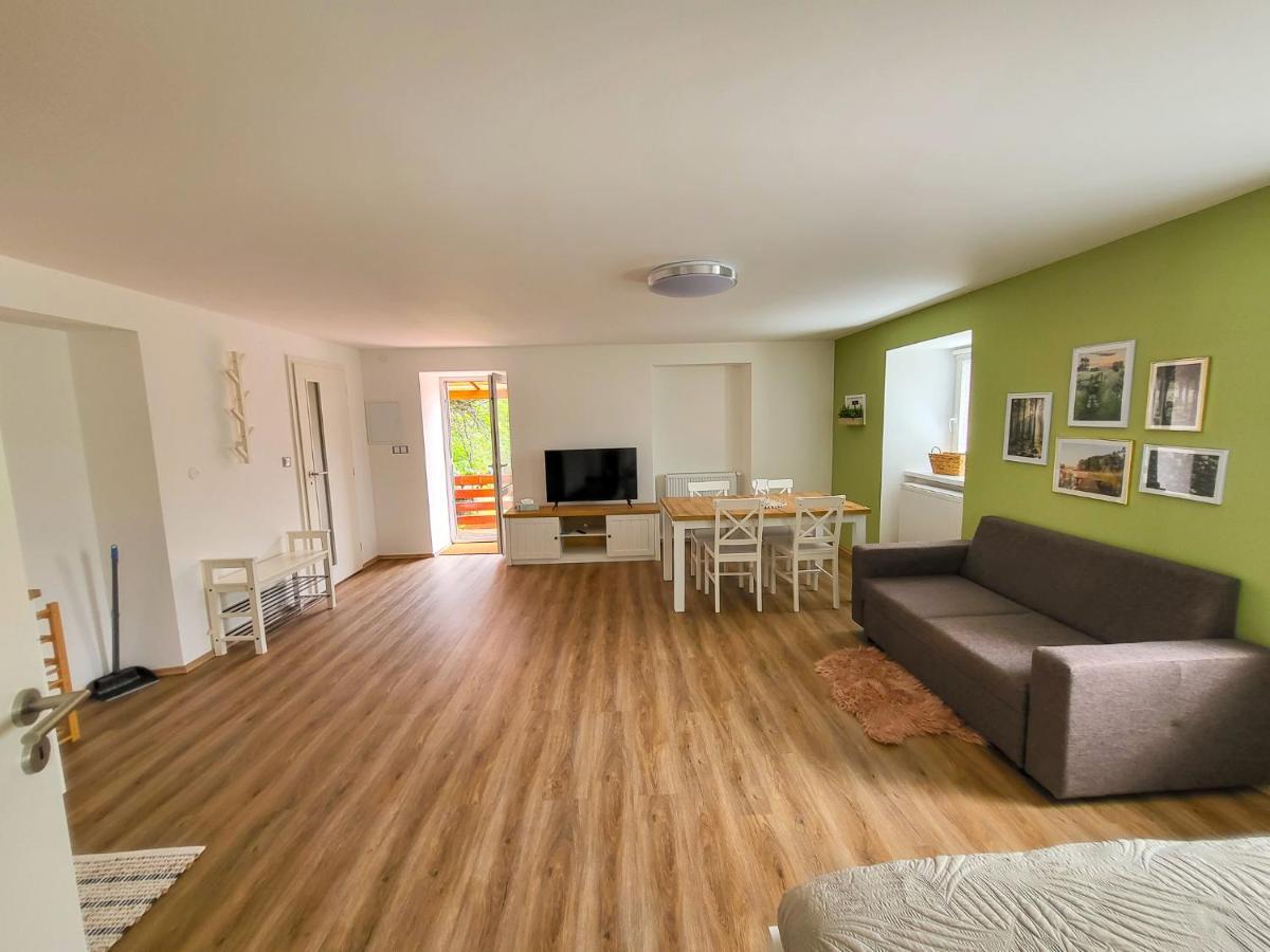 Apartmany U Kolacku Hartmanice  Extérieur photo